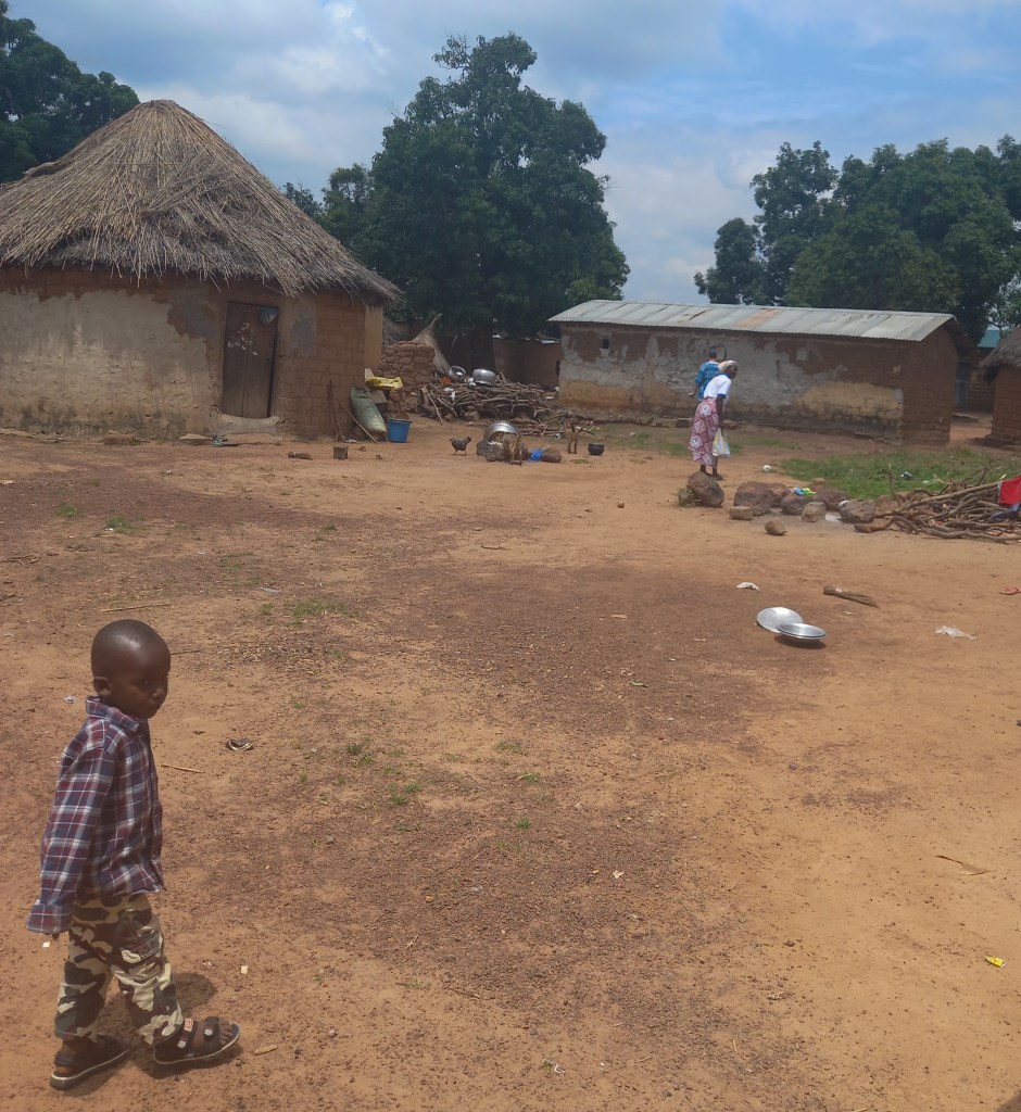 The toddler was just crossing the road